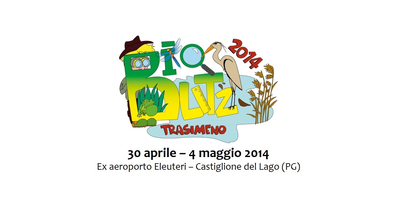 BioBlitz Trasimeno 2014: esploratori della biodiversità!